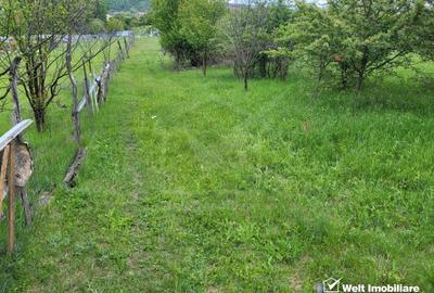 Teren in zona Someseni - 1