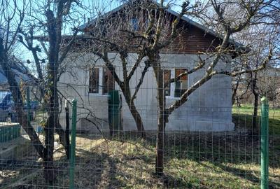 Vand teren, livada + 2 corpuri de casa batranesti - 6