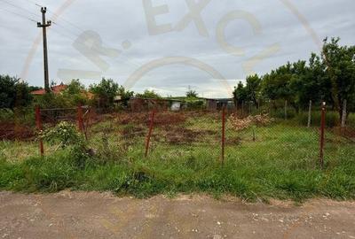 Teren Intravilan Padurea Noroieni - 1