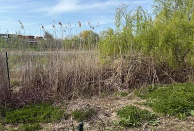 Ideal Teren intravilan – deschidere directă la lac | 883 mp | Utilități - 9