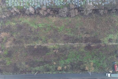 Teren Splaiul Unirii - Iuliu Hatieganu - 4