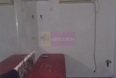 Spatiu Comercial Stradal Șoseaua Colentina zona Teiul Doamnei Suveica - 46