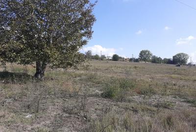 OCAZIE:Teren intravilan Tulcea-19euro/m.p. - 4