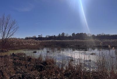 Teren cu deschidere la lac strada Orhideelor- conectare imediata la curent - 4