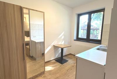 Clădire renovată, pretabilă pentru hotel, pensiune, retreat, centru, etc - 10