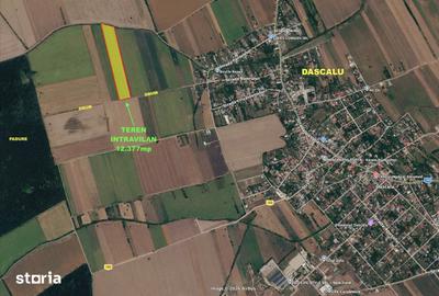 Teren Construcții intravilan de 12377 mp, în Dascălu