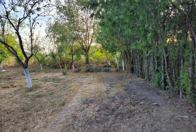 DOM00438 - De vanzare teren intravilan 1000 mp. Corbeanca - 9