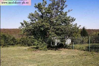 Teren de vanzare - Cocosesti(com. Paulesti) - 3