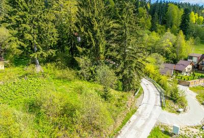 Teren Construibil 930 mp în Predeal – Lângă Pădure și Pârtia Clăbucet - 6