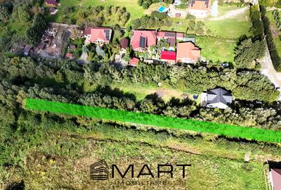 Teren intravilan 1700 mp Tocile de Sus - 1