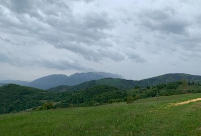 Teren extravilan 2ha, priveliste panoramica spre munti /Poiana Marului - 3