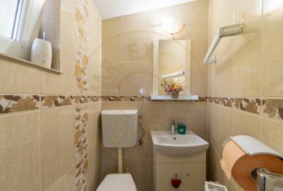Casa Pitesti cu 355 mp teren Zona centrala - Tache Ionescu 0% Comision - 12