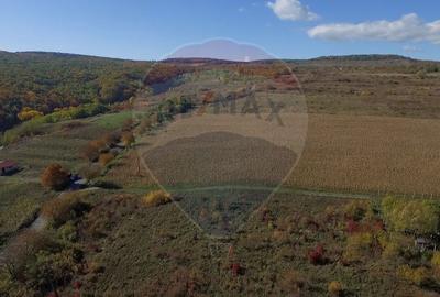 Teren Pădureni (Chinteni), intravilan, parcelabil - 10