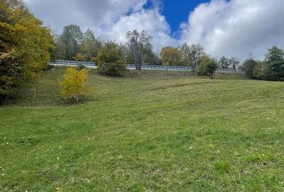 Teren extravilan cu priveliste catre Bucegi – Moieciu de Jos 4.700 mp - 1