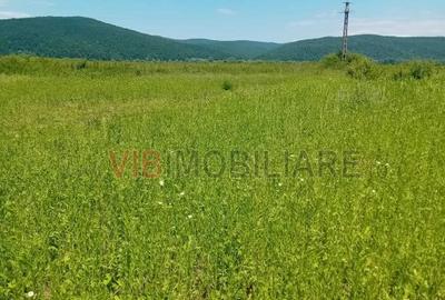 Oportunitate investiție agricolă | 750 ha societate | Județul Arad | - 2
