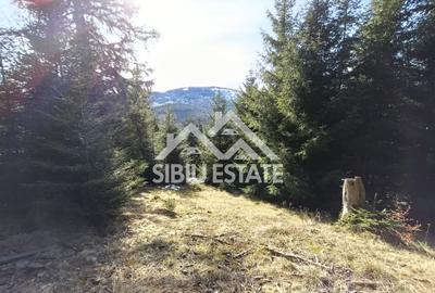 Teren de vânzare în zona montană a județului Alba - 3