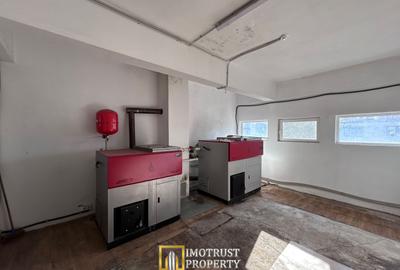 Hală Industrială de inchiriat – Lipova, Județul Arad - 10