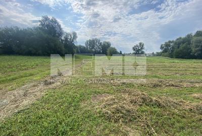 Teren Extravilan | 23 Ari | Satu Mare | Suceava - 1