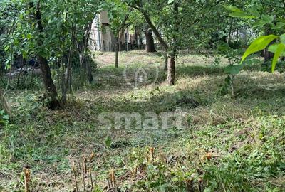 Casa si teren 975 mp Dambul Rotund - 5