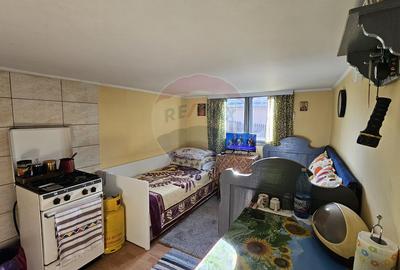 Casă / Vilă cu 3 camere de vânzare-Cacica-Suceava - 17