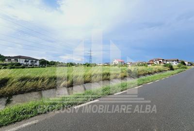 Teren intravilan | De vanzare | 5998 mp | 55 ml deschidere | Cetate - 2