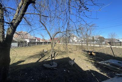 CASA RENOVATA + TEREN 3100 MP | CURTE SI GRADINA | FRATAUTII NOI - 21