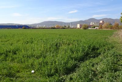 Vand teren intravilan in Deva suprafata totala 43 000 mp, zona Auchan - 2
