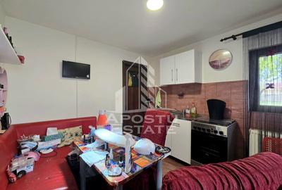 Casa individuala de vanzare, teren de 900 mp, Bogdanestilor, Timisoara - 21