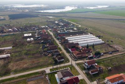 Teren 1.570 mp + casă din cărămidă–zonă liniștită - 8