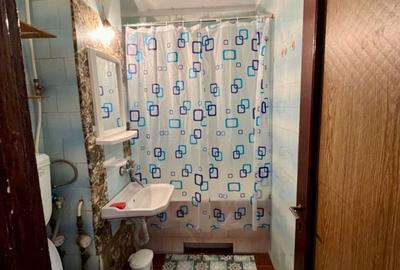 Apartament cu o cameră - Zona Nufarul - 5