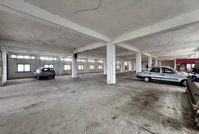 Hala, spatiu comercial, vad, de la 423mp la 1744mp, Vama Albita - 11