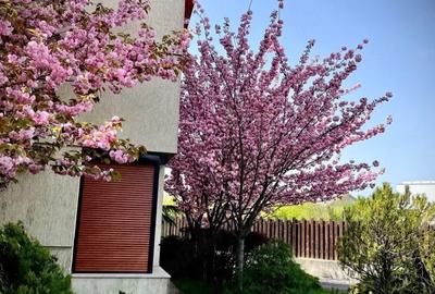 Vila Duplex 5 Camere Sisesti - 1
