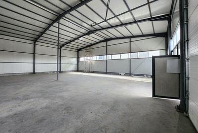 Pantelimon hala noua 500 mp - 1