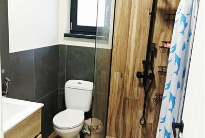 CASA 3cam 2bai beci MOBILATA SI UTILATA TOMESTI - 9