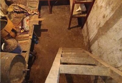 Casa taraneasca traditionala pe parter cu gradina si livada 1700mp in Gruiu, la - 17