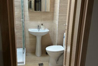 Închiriez garsonieră cartier Drumul Taberei,bulevardul Timisoara - 9