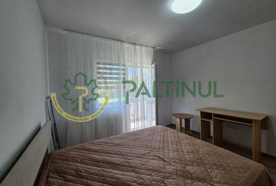 Apartament 2 camere de inchiriat zona Brana, Sibiu - 12