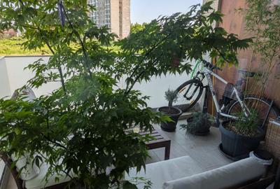 Apartament 3 camere de vanzare in complexul AFI City - comision 0! - 10