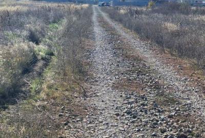 Teren Construcții intravilan de 1000 mp, în Pielești