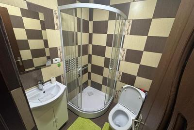 Ap 3 cam, 2 bai, parcare proprie, renovat, ultracentral - Piata Moldovei - 7