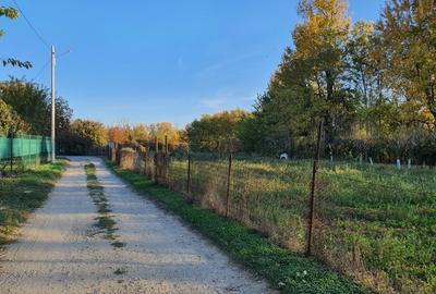 Teren de vânzare “Dumbrava Minunata” în Domnesti, Ilfov - 6