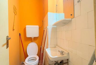 3 camere, parter inalt, spatios - zona Ultracentrala - 15