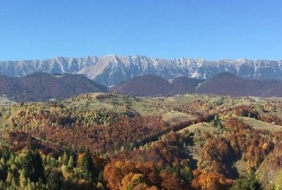 Oportunitate rara! Teren 7.283 mp, investitie garantata - 1