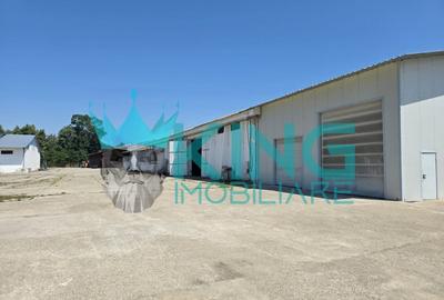 SPATIU INDUSTRIAL | NUCET | 23689 MP | HALE | SPATIU BIROURI |