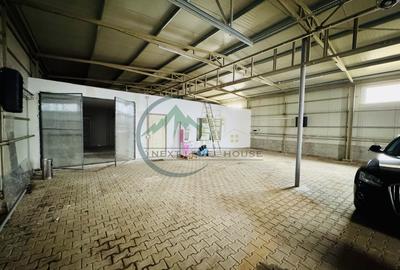 Hala Sanpetru, 220mp, poarta acces auto/tir - 1