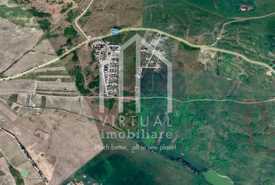 Teren de vanzare in Sibiu 67.500 mp, extravilan, Dealul Daii - 2
