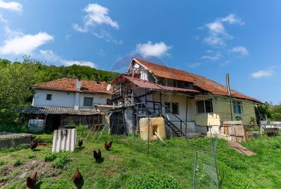 Casă  cu 10 camere in 2 corpuri de cladire (se pot vinde separat) - 12