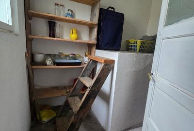 Aproape de Marginimea Sibiului, casa in inima unui parc - 14