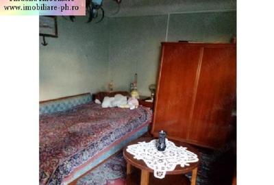 Casa de vanzare - zona Traian(str.Nicopole) - 5