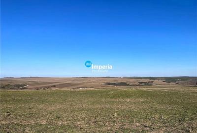 Rediu Horlesti 30000 mp  Soseaua DJ 282 - 3